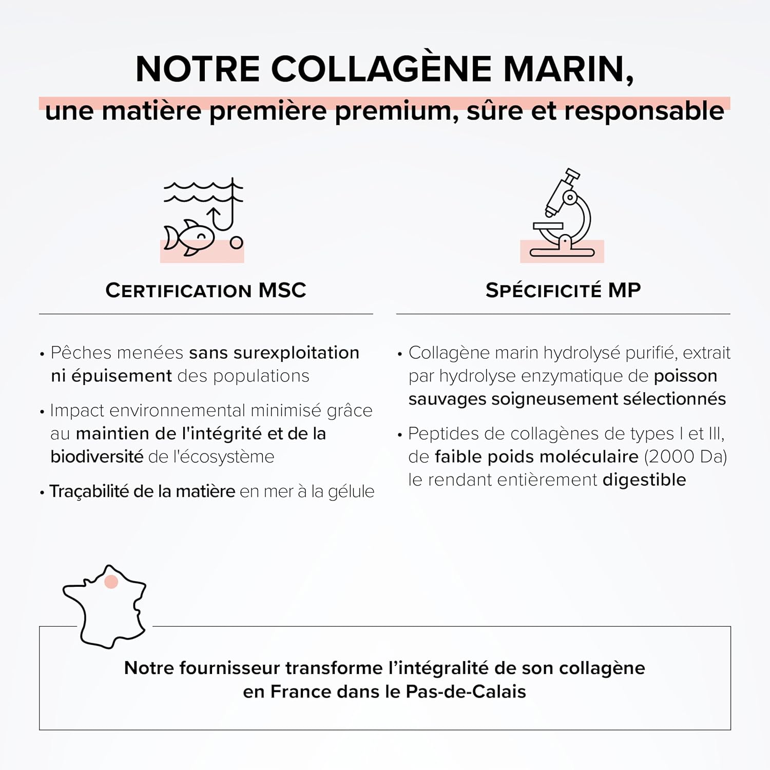 Collagène Marin Acide Hyaluronique – 100 Gélules Vitamine C