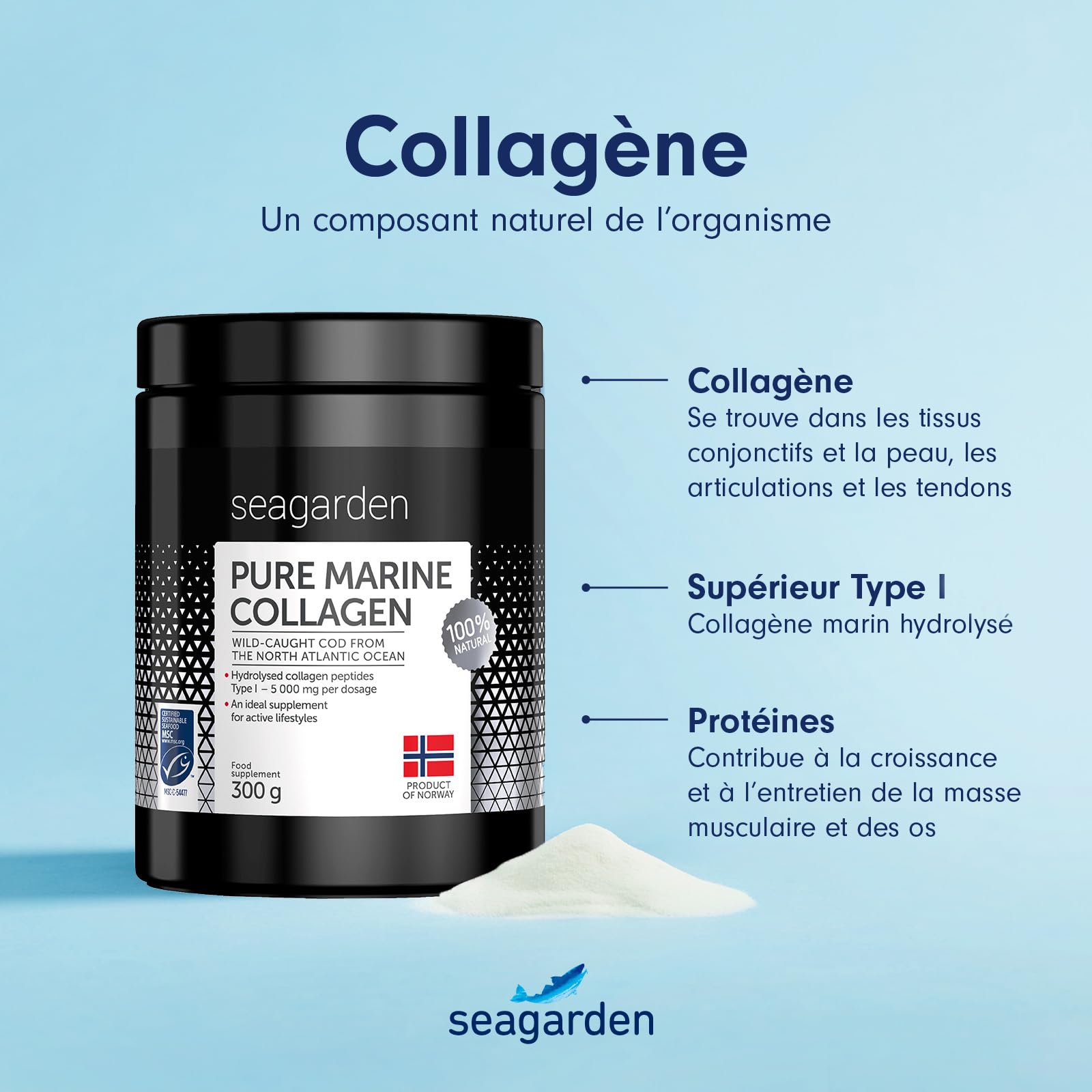 Collagène Marin en Poudre Type I – 300 g Complément Alimentaire