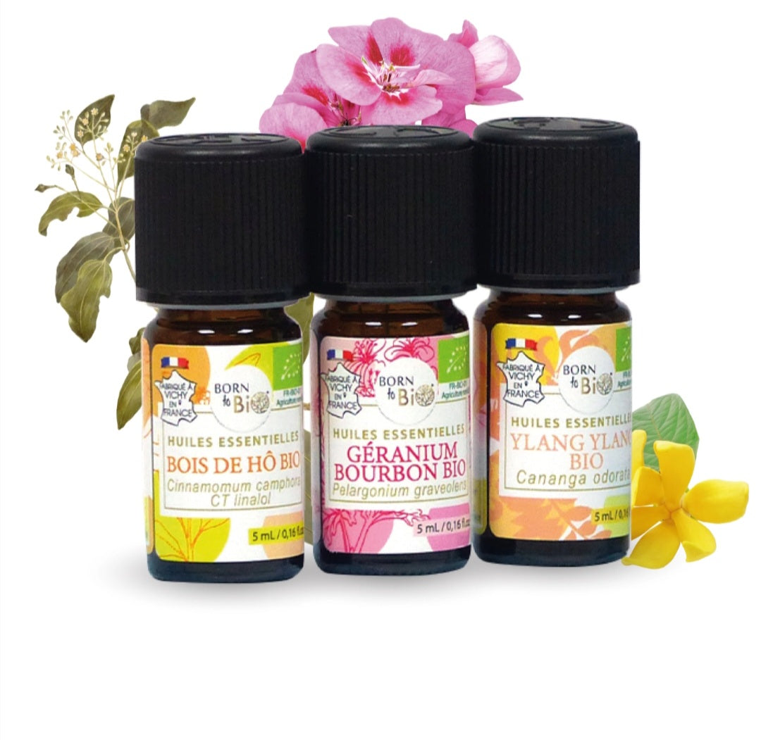 Trio Huiles Essentielles Bio Bois de Ho