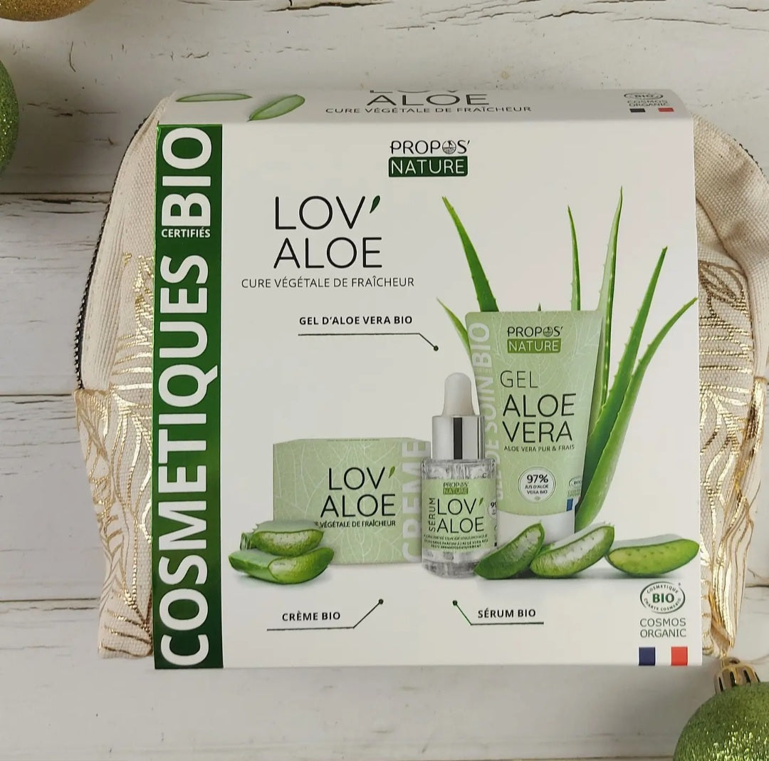 Kit Soin Visage Aloe Vera Bio coffret hydratant