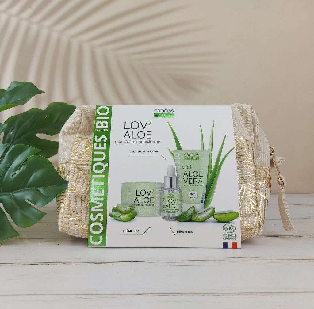 Kit Soin Visage Aloe Vera Bio routine beauté