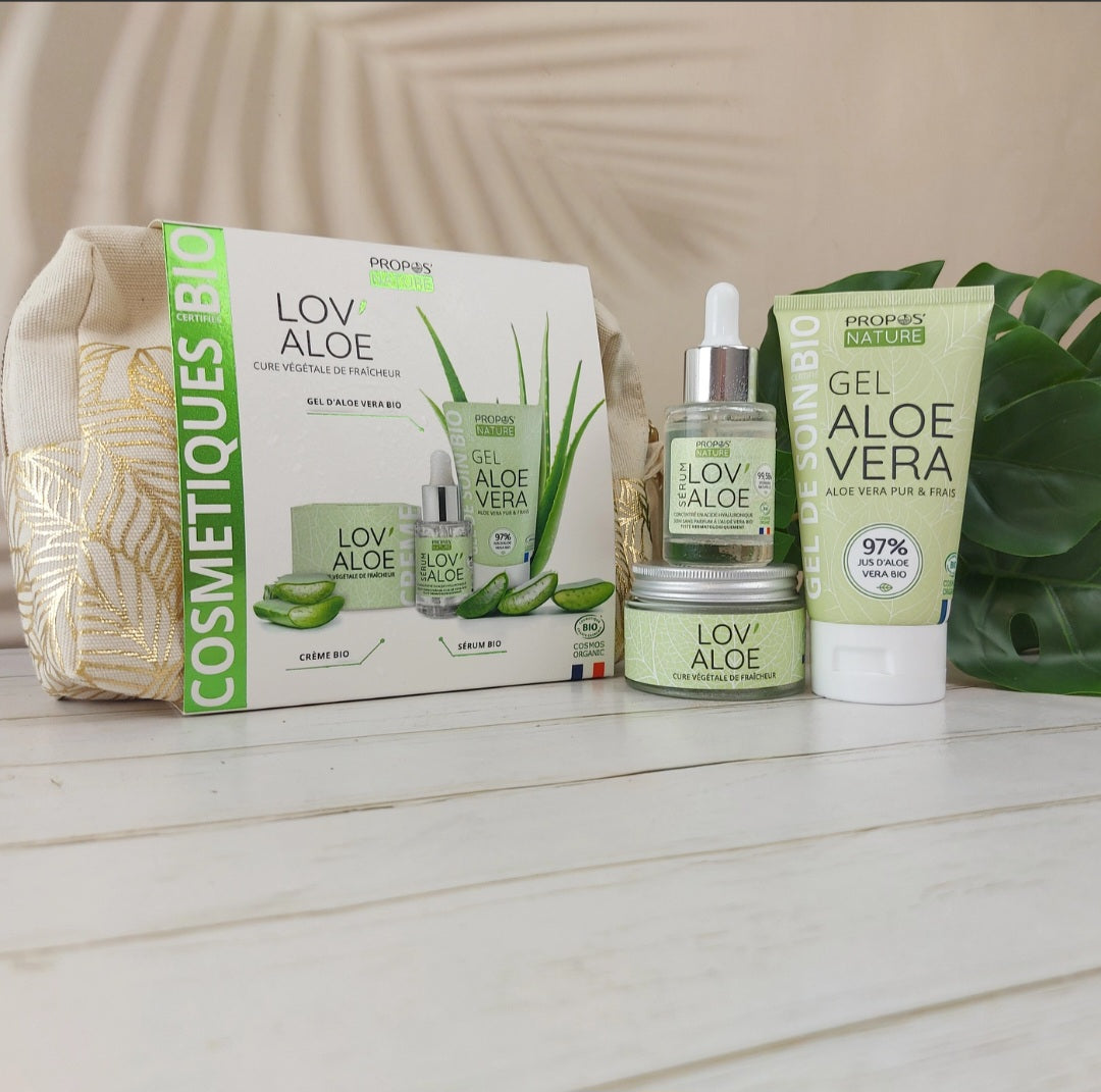 Kit Soin Visage Aloe Vera Bio hydratation visage