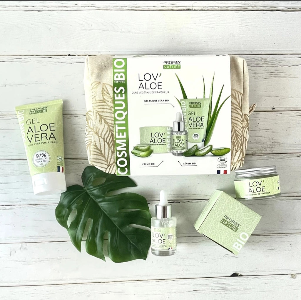 Kit Soin Visage Aloe Vera Bio 3 produits