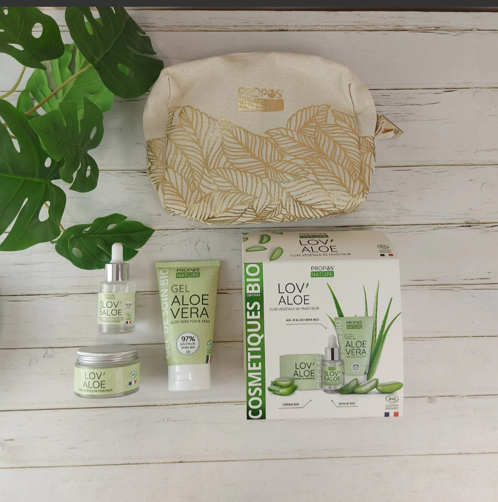 Kit Soin Visage Aloe Vera Bio – Routine Hydratante Naturelle 3 Produits