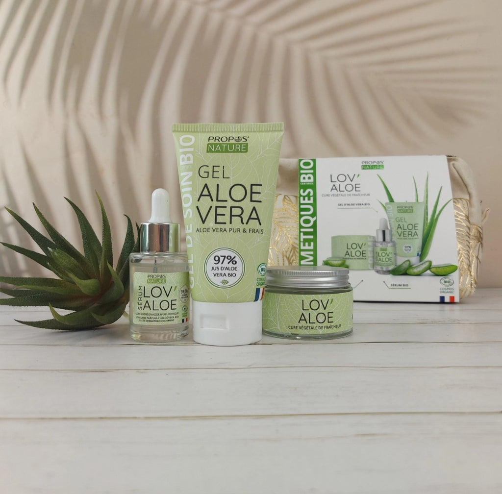 Kit Soin Visage Aloe Vera Bio – Routine Hydratante Naturelle 3 Produits