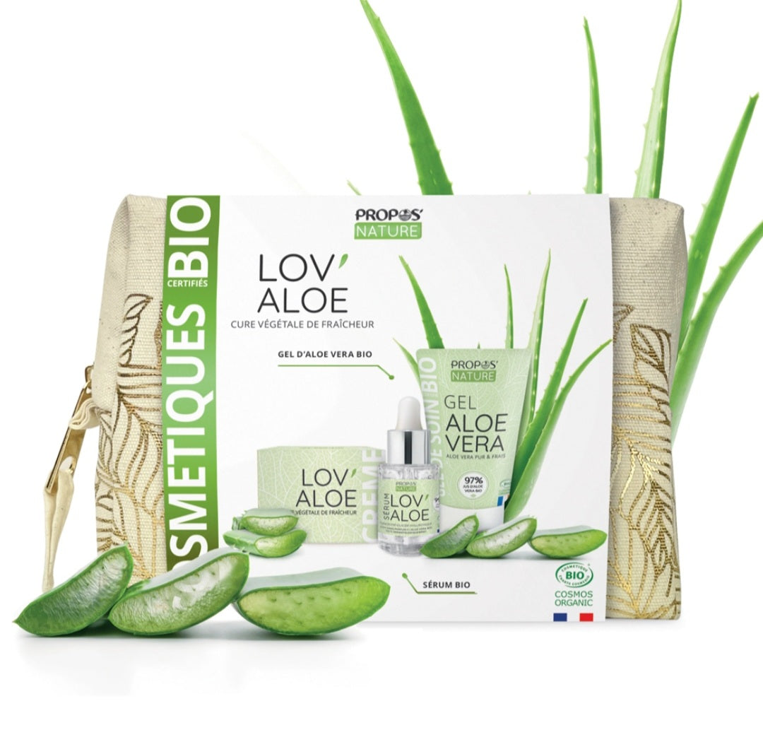 Kit Soin Visage Aloe Vera Bio – Routine Hydratante Naturelle 3 Produits